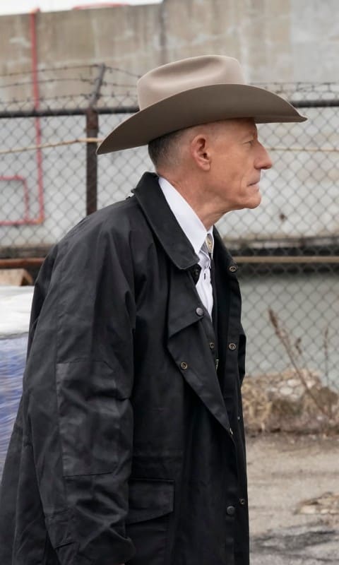Lyle Lovett Guest Stars Blue Bloods Season 10 Episode 14 Tv Fanatic