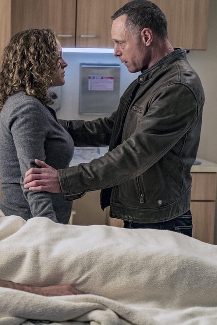 Chicago pd season 3 episode 23 123movies cheap