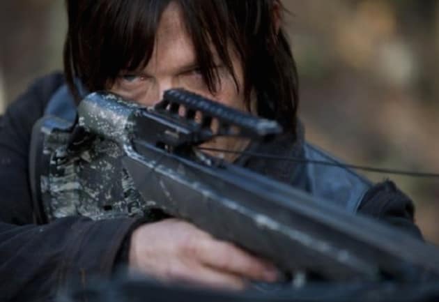 Taking Close Aim