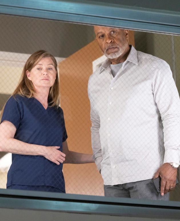 Richard is High -tall - Grey's Anatomy Season 18 Episode 17