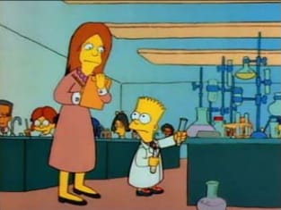 The Simpsons Season 1 Episode 2