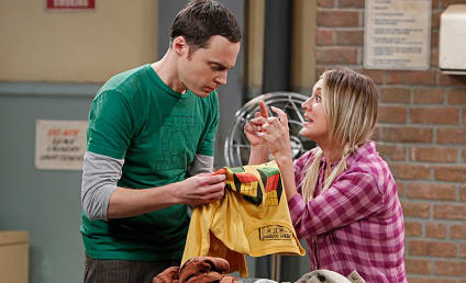 The Big Bang Theory Review: The Odd Couples