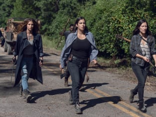 The walking dead season hotsell 9 episode 4 watch online