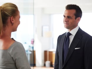 Suits 8 season watch online hot sale
