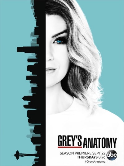 Grey's Anatomy 13 poster
