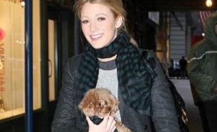 Spotted: Blake Lively in New York City