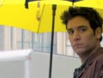 Ted and the Yellow Umbrella