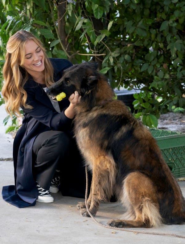 Making Friends - NCIS Season 17 Episode 6