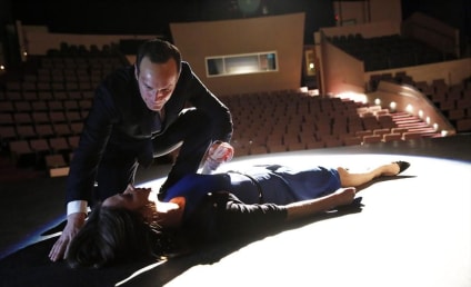 Agents of S.H.I.E.L.D. Review: Turning the Tables