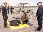 Is Rob Miller Back? - Law & Order: SVU