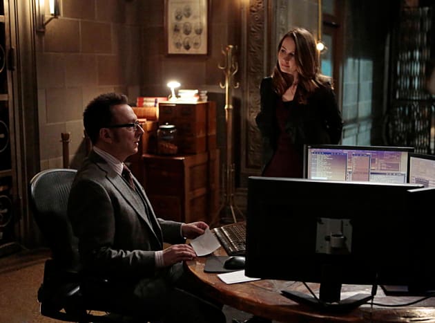 Root and Finch
