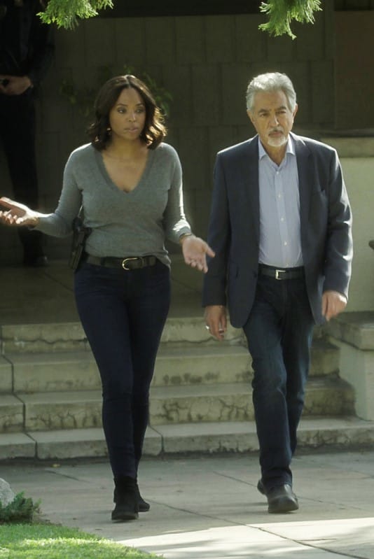 Criminal minds s14e11 watch online cheap