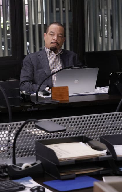 Fin Investigates a Fighter - Law & Order: SVU Season 23 Episode 12