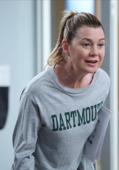 Mer's Theory - Grey's Anatomy Season 19 Episode 19