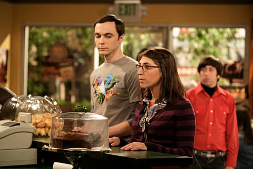 Watch The Big Bang Theory Season 3 Episode 23 Online TV Fanatic