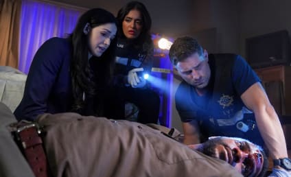 CSI: Vegas Season 2 Episode 9 Review: In the White Room