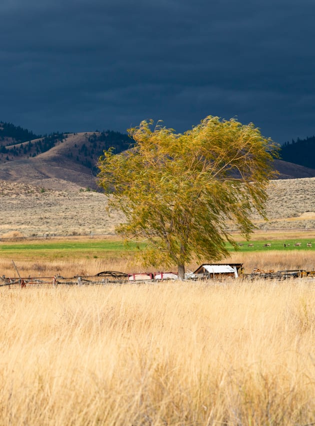 Yellowstone Season 4 Episode 5 Review Under A Blanket Of Red TV Fanatic