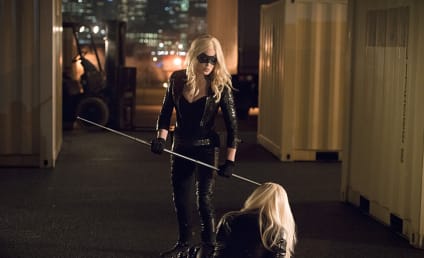 Arrow Season 3 Episode 13 Photo Gallery: Canary Rivalry