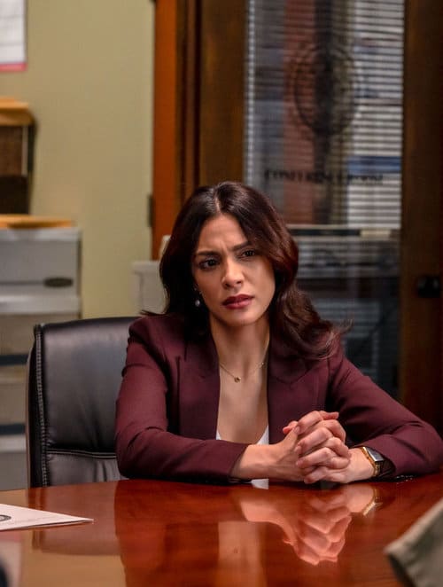 Going in Circles - Law & Order Season 22 Episode 12