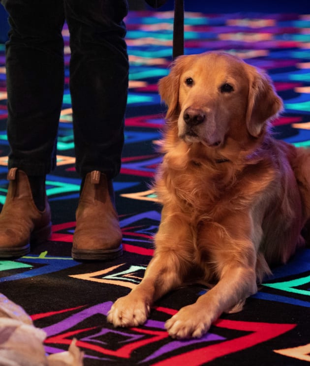 Good Doggo - Tall - In The Dark Season 2 Episode 13