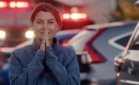 Grey s Anatomy Season 13 Episode 24