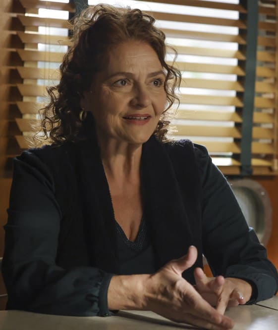 Heddie's Incarceration The Blacklist Season 9 Episode 10 TV Fanatic