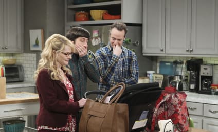 The Big Bang Theory Season 10 Episode 21 Review: The Separation Agitation