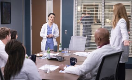 Grey's Anatomy Season 19 Episode 17 Review: Come Fly With Me