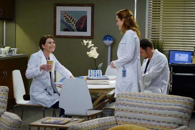 Grey's anatomy season 15 episode 13 watch series new arrivals