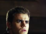 Paul Wesley as Stefan Salvatore