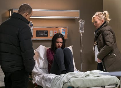 Law and order clearance svu season 17 putlocker