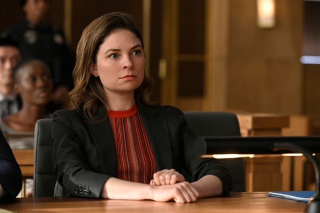 Civil Suit - Bull