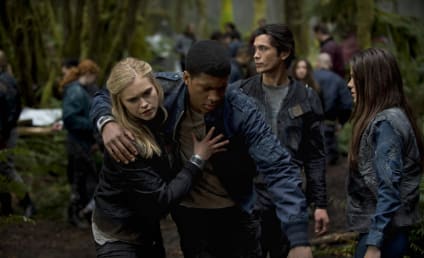 The 100: First Look!