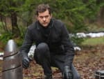 Peter on the Prowl