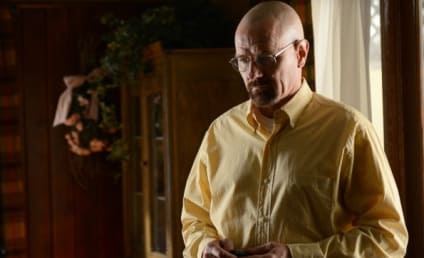 Breaking Bad Review: Down the Toilet