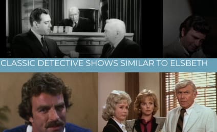 13 Classic Shows to Watch if You Love Elsbeth & Where to Find Them
