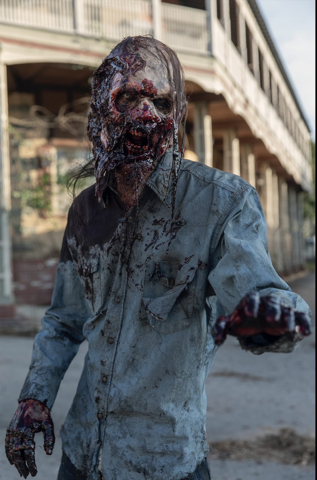 The walking dead s10e14 watch online online