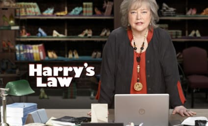 Harry's Law: Casting for Two New Roles