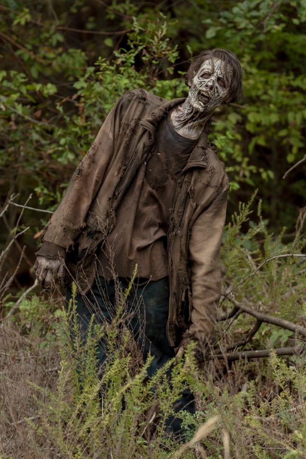 Walking dead world online beyond putlocker