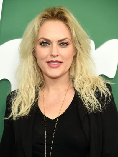 Dynasty Casts Elaine Hendrix as New Alexis Carrington - TV Fanatic