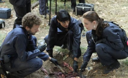 Bones Review: Last Will And Testament