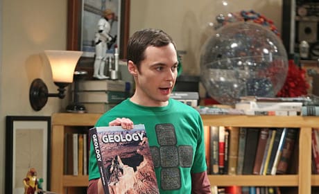 The Big Bang Theory Season 7 Episode 20