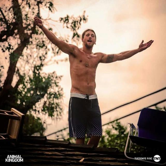 Craig Cody - Animal Kingdom