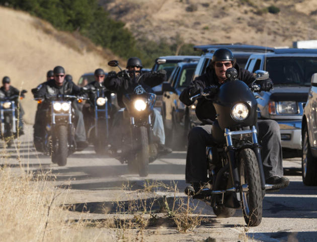Tig on His Bike