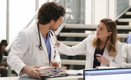 Watch Grey's Anatomy Online: Season 16 Episode 13