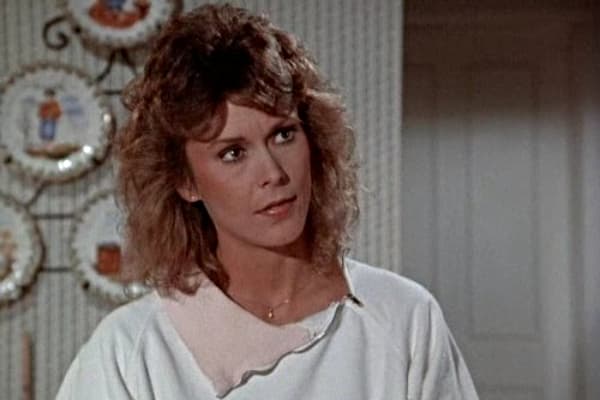 Amanda King (Scarecrow and Mrs. King)