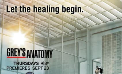 Grey's Anatomy Season 7 Posters: Choose Your Favorite!