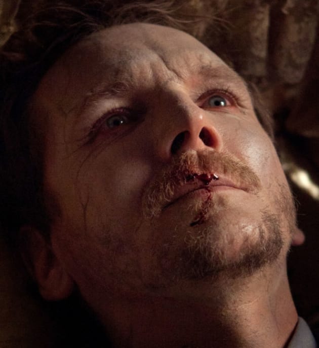 Sebastian Roché as Mikael