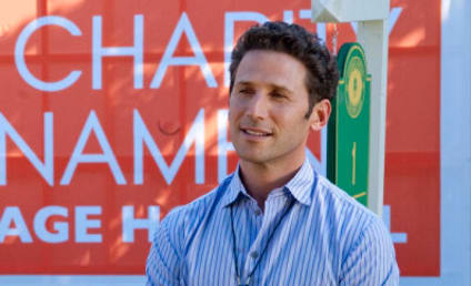 Who Will Play Hank's Nemesis on Royal Pains?