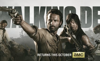 The Walking Dead Comic-Con Poster Released, Panel Confirmed